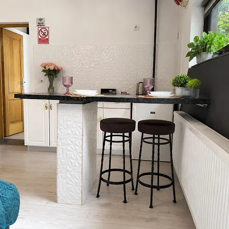 The Bridge Apartment Craiova